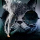 ���� ��������, �������, 49 ��� - ��������� 5 ����� 2016 � ������ ���� ����������