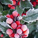  ••,  -  15  2015   