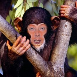 ������, �������, 49 ���