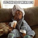 ���� ����, ������, 58 ��� - ��������� 7 ������ 2015 � ������ ���� ����������