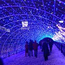 ���� ��������, ����������� - ��������� 12 ������� 2015