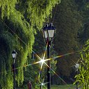 ���� Victor, ������� - ��������� 5 ������� 2016 � ������ ���� ����������