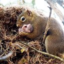 ���� �������, �����������, 62 ���� - ��������� 26 ������� 2016 � ������ ���� ���� ��� ���