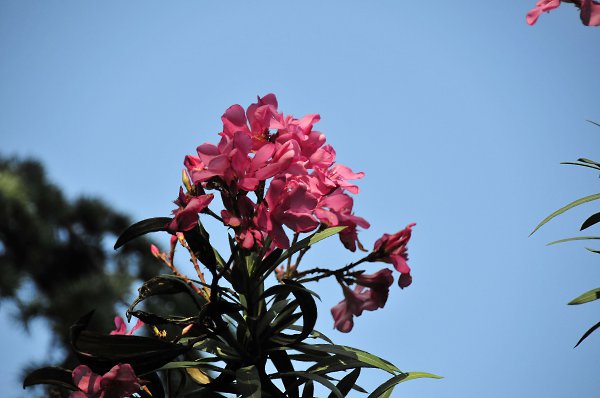   - 27  2016  22:51 - 45