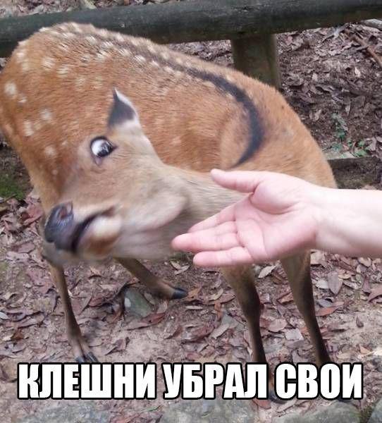    - 5  2016  01:12