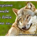 ���� �������, �����, 68 ��� - ��������� 5 ����� 2016 � ������ ���� ����������