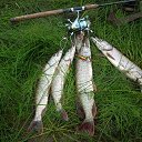 ���� ����, �������������, 58 ��� - ��������� 2 ������ 2016 � ������ ���� ����������