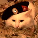 ���� Volodya, ������, 44 ���� - ��������� 24 ������ 2015 � ������ ���� ����������