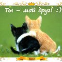 ���� �������, �����-���������, 43 ���� - ��������� 9 ����� 2016 � ������ �������� ��������