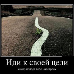 �����, �����������, 35 ���