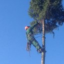 ���� ���������, ���������, 34 ���� - ��������� 31 ������� 2015 � ������ ������ ��������