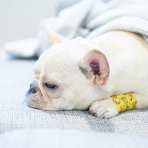   - 2  2015  08:10 - 3