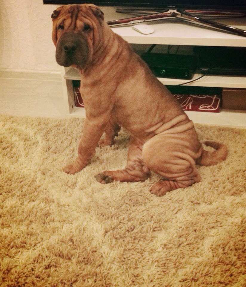 !! ,  !  !! . . 6       ... - 3