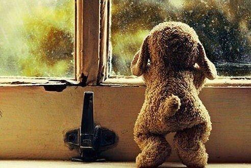 ��������������� � �����, �� ����������� �������. ��� ���� ������. �� ������� ����������� ��������, ...