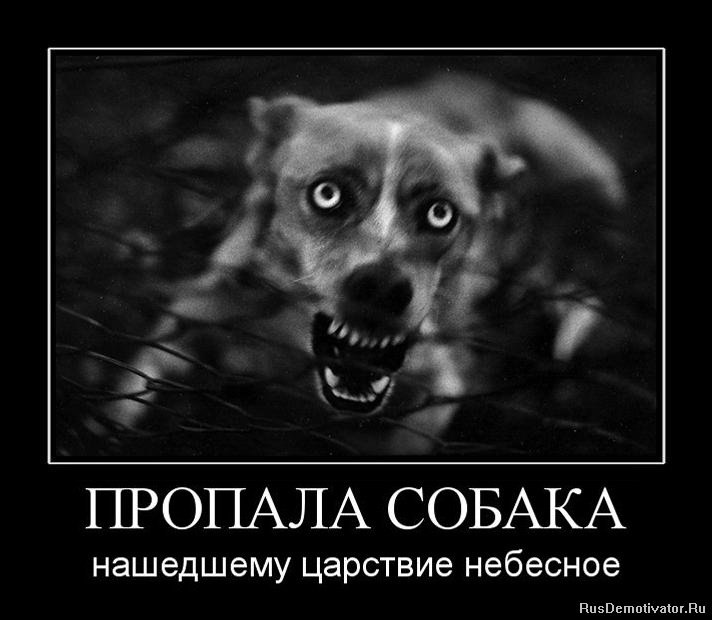����� - 6 ������ 2015 � 00:49