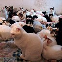 ���� ������, ����������� - ��������� 22 ������ 2016 � ������ ����� ����