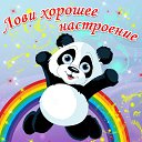 ���� �������, �������, 59 ��� - ��������� 22 ������ 2016 � ������ �������� ��������