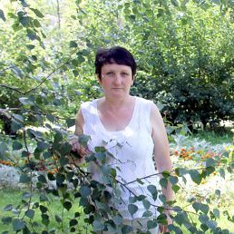 ����, ���������, 58 ���