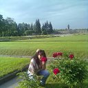 ���� ��������, �����-���������, 54 ���� - ��������� 1 ������� 2016 � ������ ���� ����������