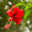 ���� ������, �����������, 56 ��� - ��������� 21 ������� 2015