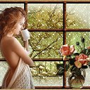 ���� �������, �������� ���, 72 ���� - ��������� 24 ������ 2016 � ������ ������ ��������