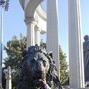 ���� ���������, ������, 50 ��� - ��������� 27 ������� 2015 � ������ ���� ����������