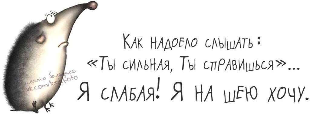   - 16  2016  20:46