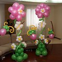 ���� ���, �����-���������, 43 ���� - ��������� 1 ������� 2016 � ������ �������� �������