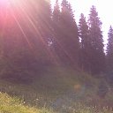 ���� �����, ������ - ��������� 22 ������� 2015 � ������ ���� ����������