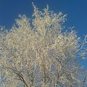 ���� �����, ���� - ��������� 26 ������� 2015 � ������ ������ ��������
