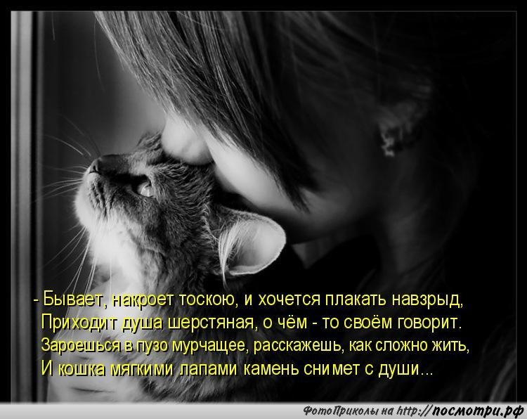       - 7  2016  02:31