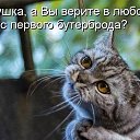 ���� �����, ������, 55 ��� - ��������� 10 ������� 2016 � ������ ������ ��������