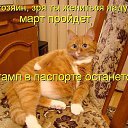 ���� �����, �����-��������� - ��������� 19 ������ 2016 � ������ ������ ��������