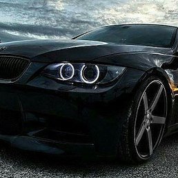 ���� ���, ���������, 41 ��� - ��������� 3 ������ 2016