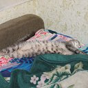 ���� ���������, ��������, 51 ��� - ��������� 27 ������ 2016 � ������ ���� ����������