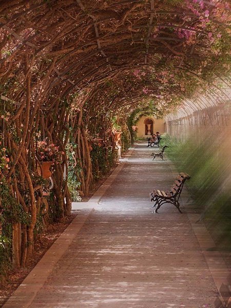��������, �������.#�������@travel.blog