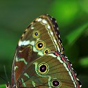  ,  -  18  2016     Ȼ