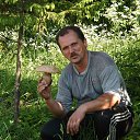 ���� ������, ����, 64 ���� - ��������� 1 ������� 2015 � ������ ���� ����������