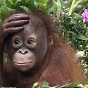 ���� ��������, ������ ��������, 37 ��� - ��������� 1 ������ 2016 � ������ ���� ����������