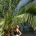 � � ������ �� ������� ���� ����������