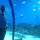 ���� �������, ������, 51 ��� - ��������� 20 ������ 2015 � ������ ����������� 11.11.15�