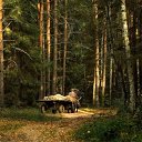 ���� �������, ������ - ��������� 19 ������� 2016 � ������ ������ ��������