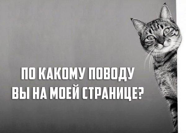Найди среди них.Найди вот это Найди вот это Найди вот это А теперь загадай своё желание за пять ...