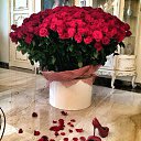 ���� Viktor, ����� - ��������� 20 ������ 2015 � ������ �1234�