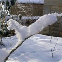 ���� �������, �����, 68 ��� - ��������� 13 ������ 2016 � ������ ������ ��������