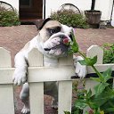 ���� ���������, ������ - ��������� 25 ������ 2016 � ������ ������ ��������