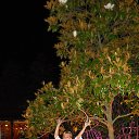 � ���� �������� �� ������� ���� ����������