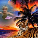 ���� ������, ����������� - ��������� 13 ������� 2016 � ������ ���� ����������