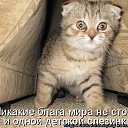 ���� ������, ������-��-����, 53 ���� - ��������� 2 ������� 2016 � ������ ���� ����������