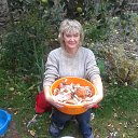 ������� ���� �� ������� ���� ����������